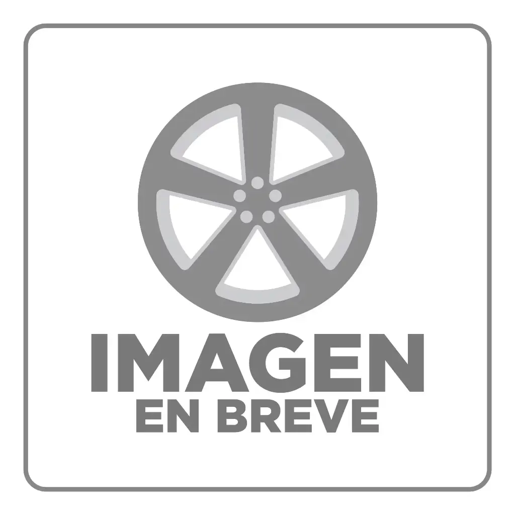 PORTABICICLETAS PRORACK PARA CAJUELA PARA 2 BICICLETAS